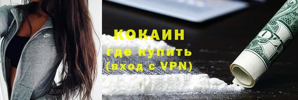 стафф Арсеньев