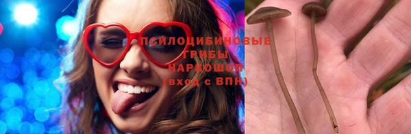 MESCALINE Аркадак