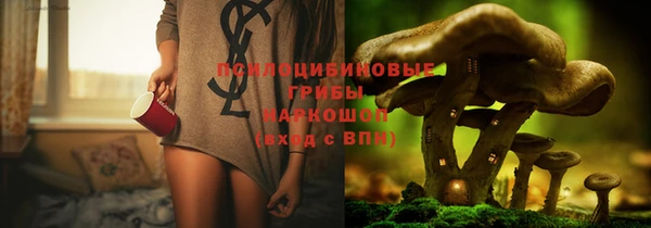 MESCALINE Аркадак