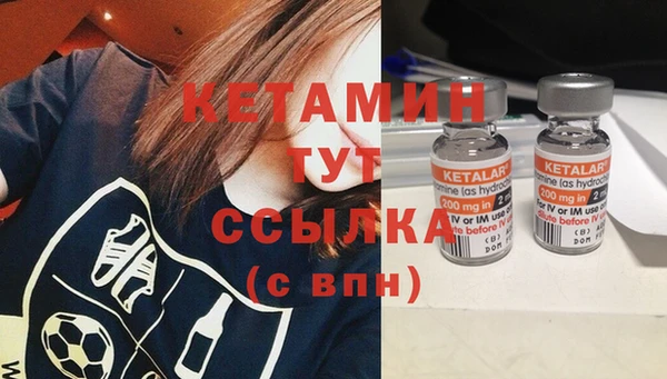 стафф Арсеньев